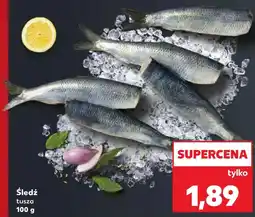 Kaufland Śledź oferta