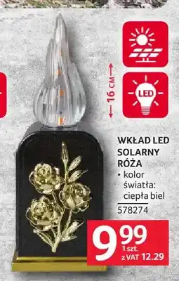 Selgros Wkład LED solarny Róża oferta