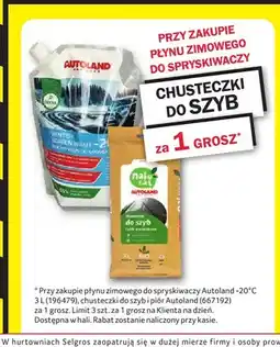 Selgros Chusteczki do szyb Autoland oferta