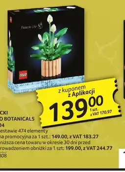 Selgros Klocki LEGO Botanicals 11504 oferta