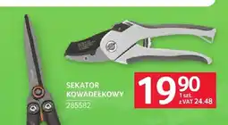 Selgros Sekator kowadełkowy oferta