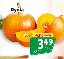 Prim Market Dynia oferta