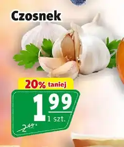 Prim Market Czosnek oferta