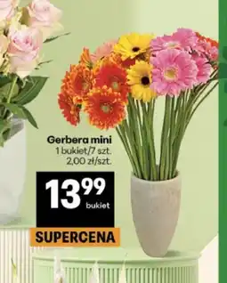 Delikatesy Centrum Bukiet oferta
