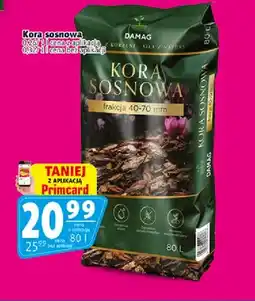 Prim Market Kora sosnowa Damag oferta