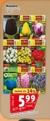 Prim Market Nasiona Gmf oferta