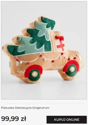 Poduszka dekoracyjna Gingerwrum home & you