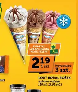 ABC Lody Rożek oferta