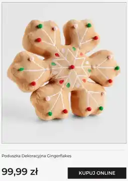 Home&You Poduszka dekoracyjna Gingerflakes Home & You oferta