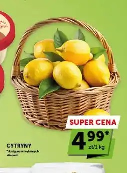 ABC Cytryny oferta
