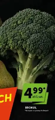 ABC Brokuł oferta