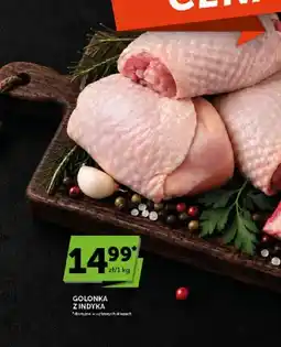 ABC Golonka z indyka oferta