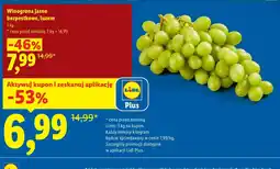 Lidl Winogrona K! oferta