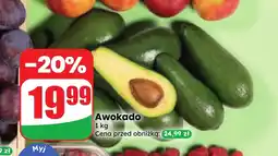 Dino Awokado oferta