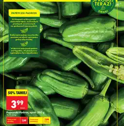 Biedronka Papryczki Padron oferta