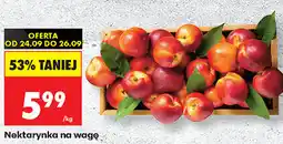 Biedronka Nektarynka na wagę oferta
