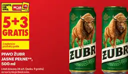 Biedronka Piwo Żubr Jasne Pełne oferta
