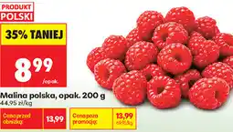 Biedronka Malina polska, opak oferta