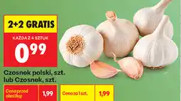 Biedronka Czosnek polski, szt. lub Czosnek, szt oferta