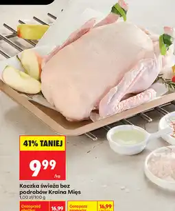 Biedronka Kaczka świeża bez podrobów Kraina Mięs oferta