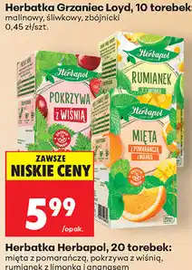 Biedronka Herbatka Herbapol oferta