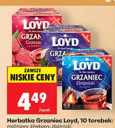 Biedronka Herbatka Grzaniec Loyd oferta