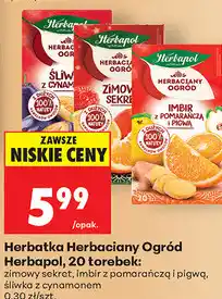 Biedronka Herbata Herbaciany Ogród Herbapol oferta