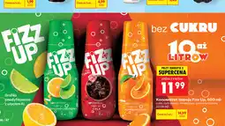 Biedronka Koncentrat napoju Fizz Up oferta