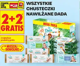 Biedronka WSZYSTKIE CHUSTECZKI NAWILŻANE DADA oferta