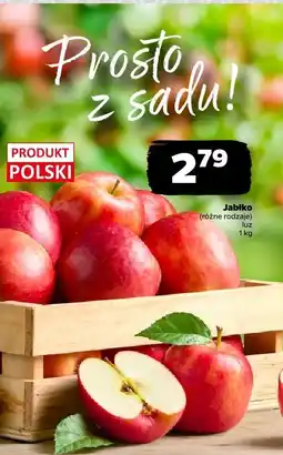 Netto Jabłko (różne rodzaje) oferta