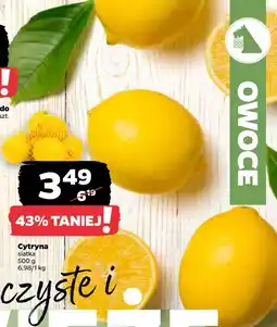 Netto Cytryna siatka oferta