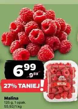 Netto Malina oferta