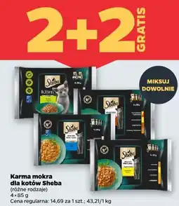 Netto Karma mokra dla kotów Sheba oferta