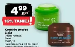 Netto Krem do twarzy Ziaja oferta
