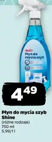 Netto Płyn do mycia szyb Shine oferta