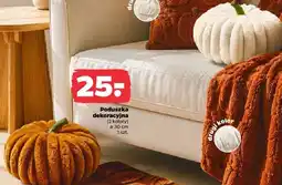 Netto Poduszka dekoracyjna oferta
