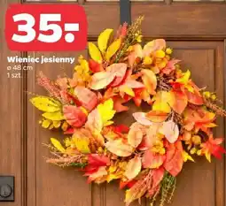Netto Wieniec jesienny ø 48 cm oferta