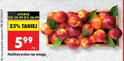 Biedronka Nektarynki na wagę oferta