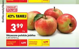 Biedronka Jabłka wczesne polskie oferta