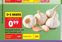 Biedronka Czosnek polski oferta