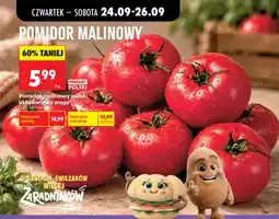 Biedronka Pomidory malinowe polskie układane na wagę oferta