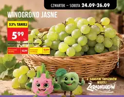 Biedronka Winogrona jasne oferta