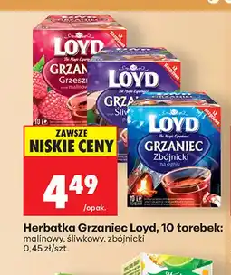 Biedronka Herbatka Grzaniec Loyd śliwkowy oferta