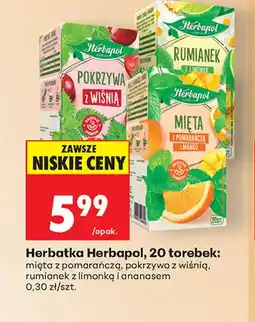 Biedronka Herbatka Herbapol mięta z pomarańczą oferta