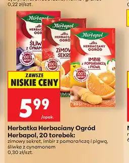 Biedronka Herbatka Herbaciany Ogród Herbapol zimowy sekret oferta