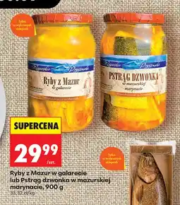 Biedronka Ryby z Mazur w galarecie Mazurskie Przysmaki oferta