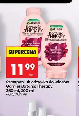 Biedronka Szampon do włosów Garnier Botanic Therapy oferta
