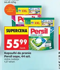 Biedronka Kapsułki do prania Persil Caps oferta