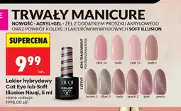 Biedronka Lakier hybrydowy Cat Eye Niuqi oferta