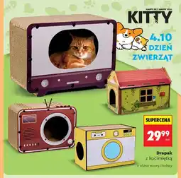 Biedronka Drapak z kocimiętką Kitty oferta